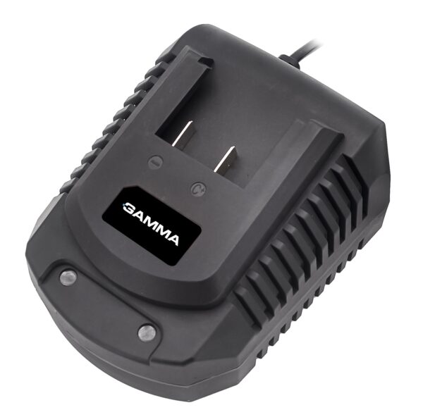 Cargador de 20V rápido