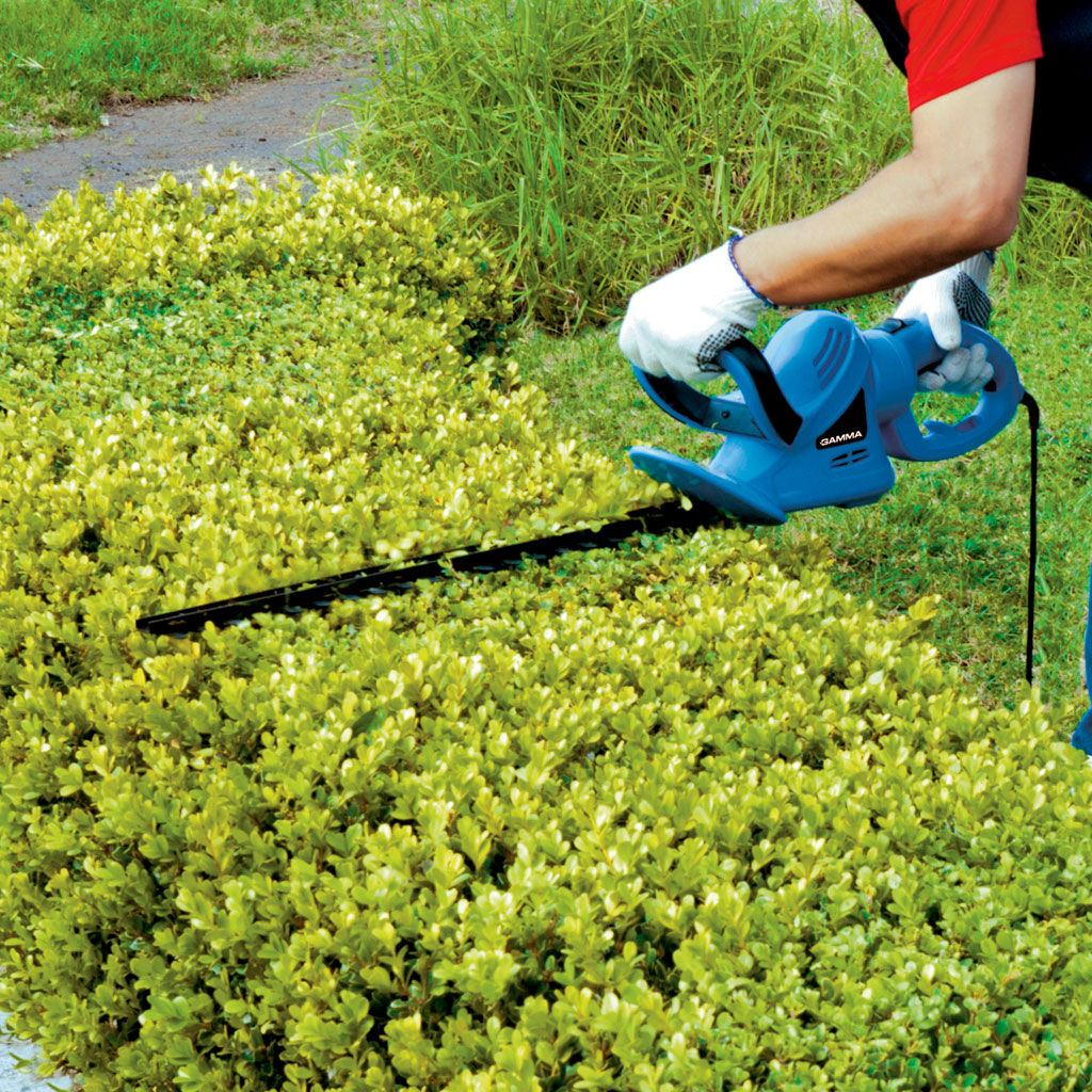 Cortacerco 600W - Image 2